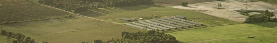 Aerial view of vast green fields with large chicken barns